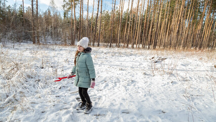 snowball fight in snowy winter park