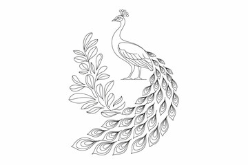 Elegant Peacock with Feather Details – Black and White Vector Illustration

