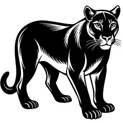 Obraz premium a realistic illustration of a mountain lion (cougar) walking gracefully its