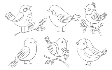 Cute outline birds with charming details perched on branches, perfect for nature, wildlife, spring art, sketching, and hand-drawn coloring pages.