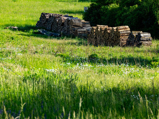 Brennholz Lager auf einer Wiese