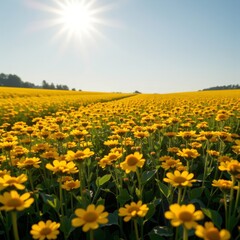 Obraz premium Golden Sunlight Illuminates Vibrant Field of Flowers in Summer Landscape