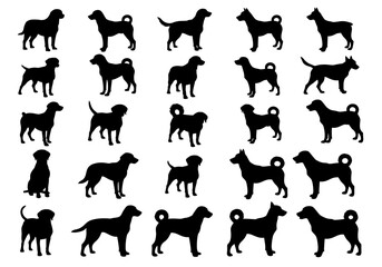 A Comprehensive Exploration of Canine Diversity Analyzing Silhouette Variations to Understand Breed Characteristics Morphology Behavioral Traits and Adaptation Across the Vast World of Dogs and Their 