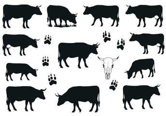 A Collage of Cows and Skulls A Visual Exploration of Farm Life Cattle Anatomy Wildlife Footprints Natural Imagery Rural Aesthetics and Agricultural Depiction Offering a Unique Juxtaposition of Life an
