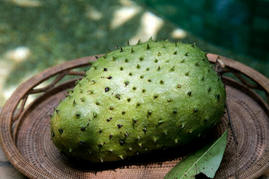 Soursop fruit on a plate