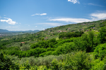 Obraz premium Scenic landscape of northern Tuscany, Italy, featuring vineyards, olive groves, and traditional countryside houses with hills and green mountains in the background.