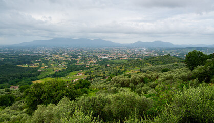 Obraz premium Scenic landscape of northern Tuscany, Italy, featuring vineyards, olive groves, and traditional countryside houses with hills and green mountains in the background.