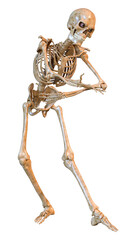 Fototapeta premium 3D Rendering Human Skeleton on White