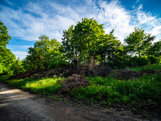 Grünabfälle im Frühjahr