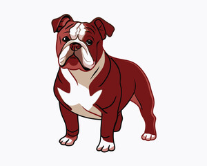 vector-bulldog-hand-drawn-engraving-consistent-outline