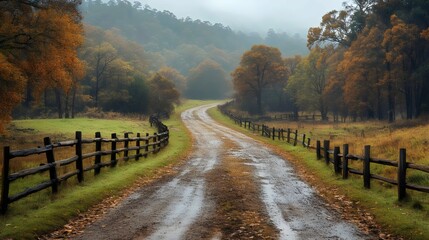 A serene, winding road through a misty autumn forest with rustic fences on both sides.