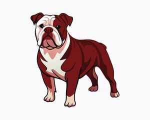 Fototapeta premium vector-bulldog-hand-drawn-engraving-consistent-outline