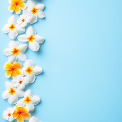 Naklejka premium Plumeria Flower Arrangement on Light Blue Background Top-Down Still Life Tropical Floral Design Minimalist Style Springtime