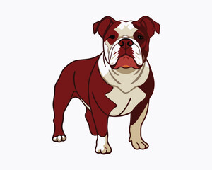 vector-bulldog-hand-drawn-engraving-consistent-outline