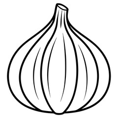onion vector illustration