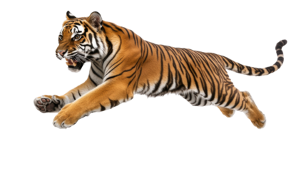 Powerful tiger in mid-leap with sharp claws and intense expression capturing attention