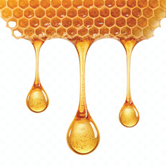 realistic fresh golden honeycomb dripping liquid honey isolated on transparent background © MDShafaat