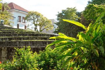 Stone terraces surrounded by tropical plants and colonial-style buildings in a lush urban park....