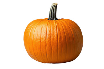 A single orange pumpkin