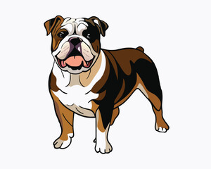 Obraz premium vector-bulldog-hand-drawn-engraving-consistent-outline