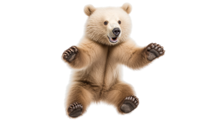 Adorable bear cub sitting with open paws looking happy and cute