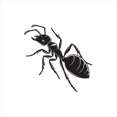 Black Ant Silhouette Vector Illustration