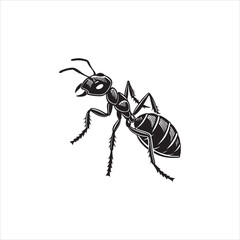 Black Ant Silhouette Vector Illustration