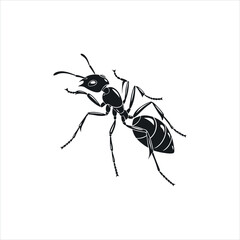 Black Ant Silhouette Vector Illustration