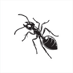 Black Ant Silhouette Vector Illustration