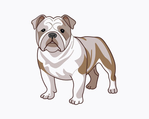 Obraz premium vector-bulldog-hand-drawn-engraving-consistent-outline