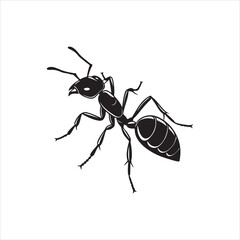 Black Ant Silhouette Vector Illustration