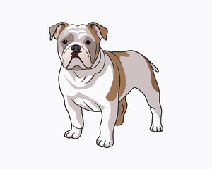 vector-bulldog-hand-drawn-engraving-consistent-outline