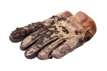 Dirty gardening gloves pair