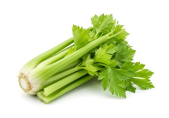 A bunch of fresh green celery stalks and leaves isolated on a white background in a close up shot