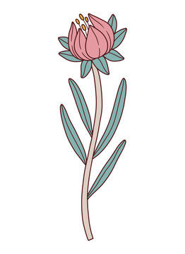 pink flower stem with green leaves clip art preview