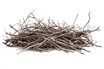 A pile of dry, assorted twigs and branches.  Small, light brown sticks densely clustered together