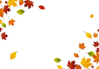 Autumn leaves of various colors scattered on a white background creating a border effect design 100