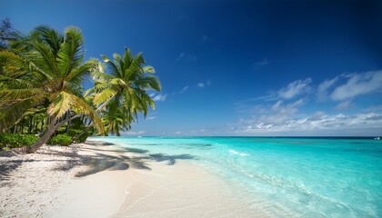 tropical beach with turquoise water and palm trees