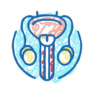 urethral stricture urology icon doodle illustration