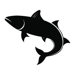 salmon vector illustration on white background