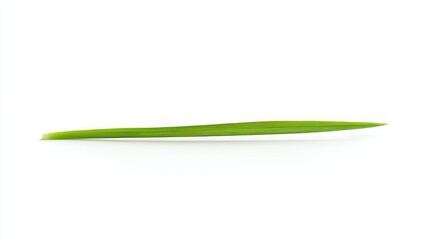 Fototapeta premium A single grass blade placed neatly on a white background