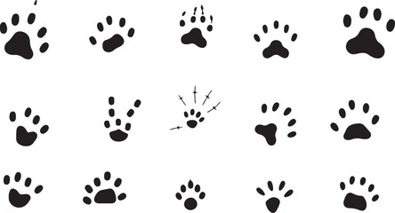 Create a Animal tracks foot print guide vector vector art with white background.