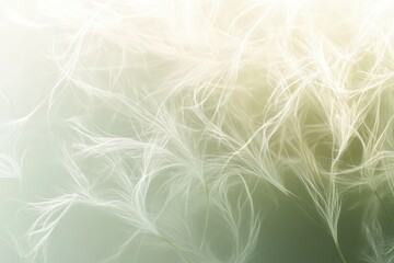 Soft, delicate feather structures in pastel tones.