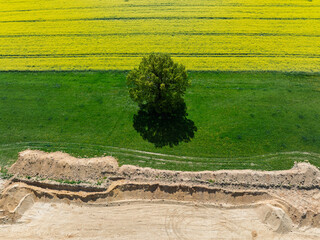 Aerial drone view of beautiful yellow fields rapeseed.Village country farming shapes in fields....