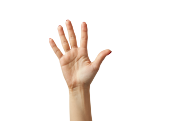 Raised Hand: A close-up image of a woman's hand raised, fingers extended, against a clean white background. The hand is positioned elegantly, conveying a sense of attentiveness or participation.