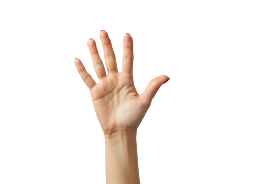 Raised Hand: A close-up image of a woman's hand raised, fingers extended, against a clean white background. The hand is positioned elegantly, conveying a sense of attentiveness or participation.