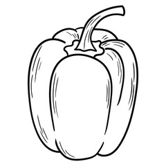 Hand drawn doodle bell pepper on white background.