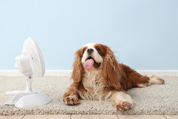 Funny dog and electric fan against light blue background