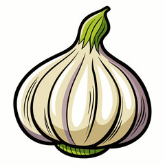 Hand-Drawn Garlic Doodle Vector Illustration On A white Background