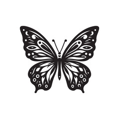 Butterfly vector (2).eps